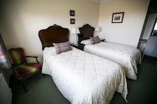 Отели типа «постель и завтрак» Moloney House Дулин Двухместный номер с 2 отдельными кроватями-2
