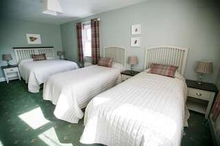 Отели типа «постель и завтрак» Moloney House Дулин Стандартный семейный номер-3